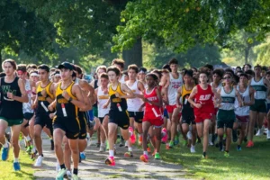 depositphotos_677130214-stock-photo-kings-park-new-york-usa